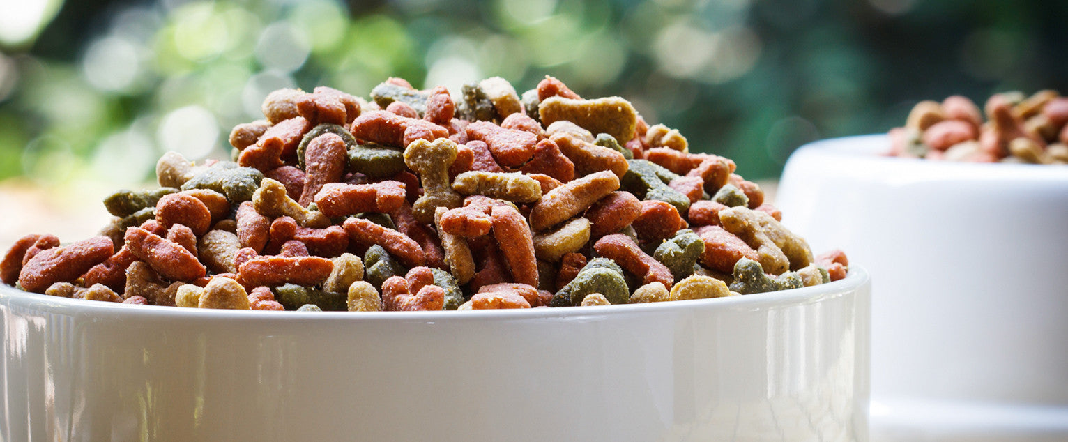 Canine Diabetes And Diet