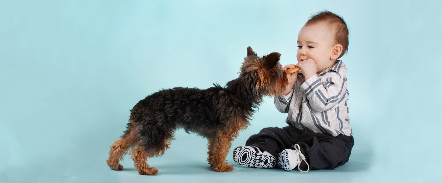 Dogs & Babies - And Baby Makes Four