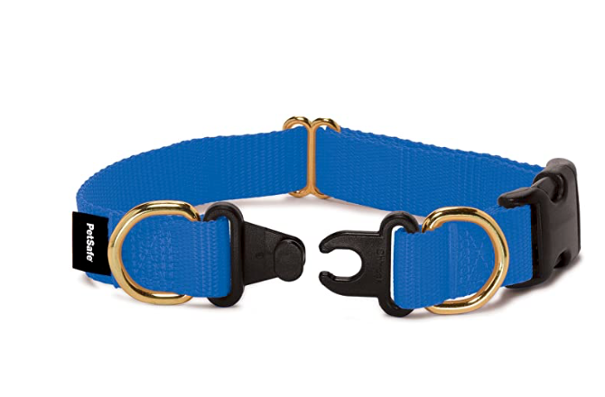 PetSafe Break-away Safety Collar -Royal Blue (S  - 10"-14")