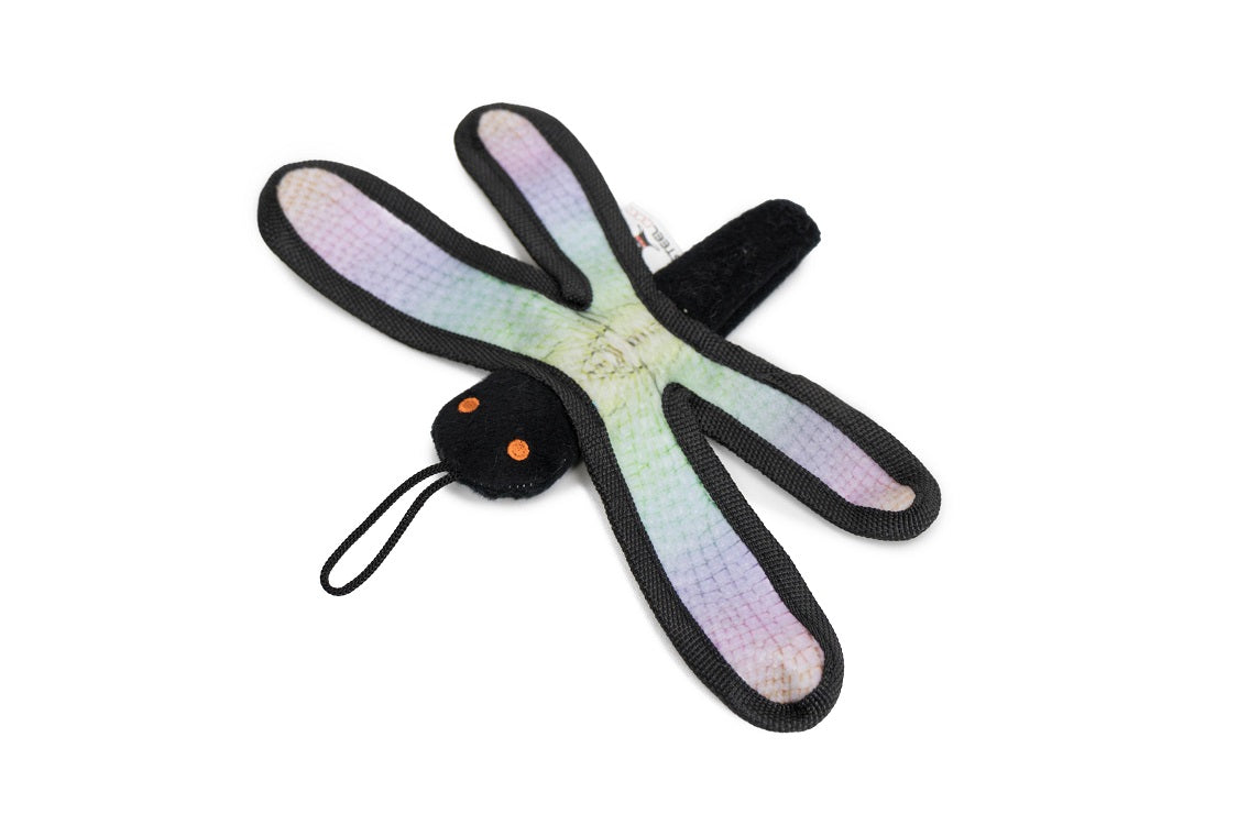 Steel Dog - Dragonfly CAT Toy - Various Colours