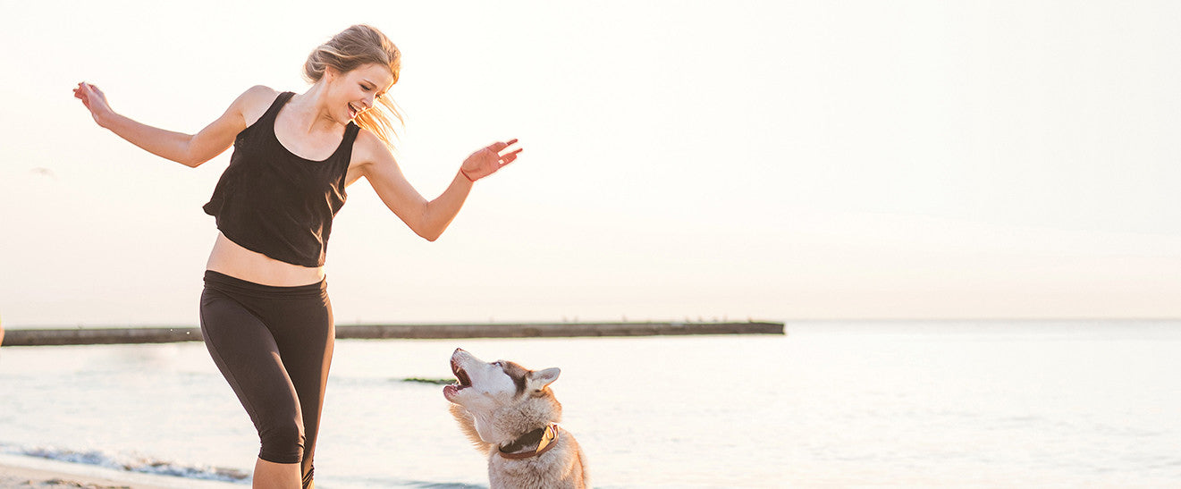 Toronto's Best Beaches for Dogs
