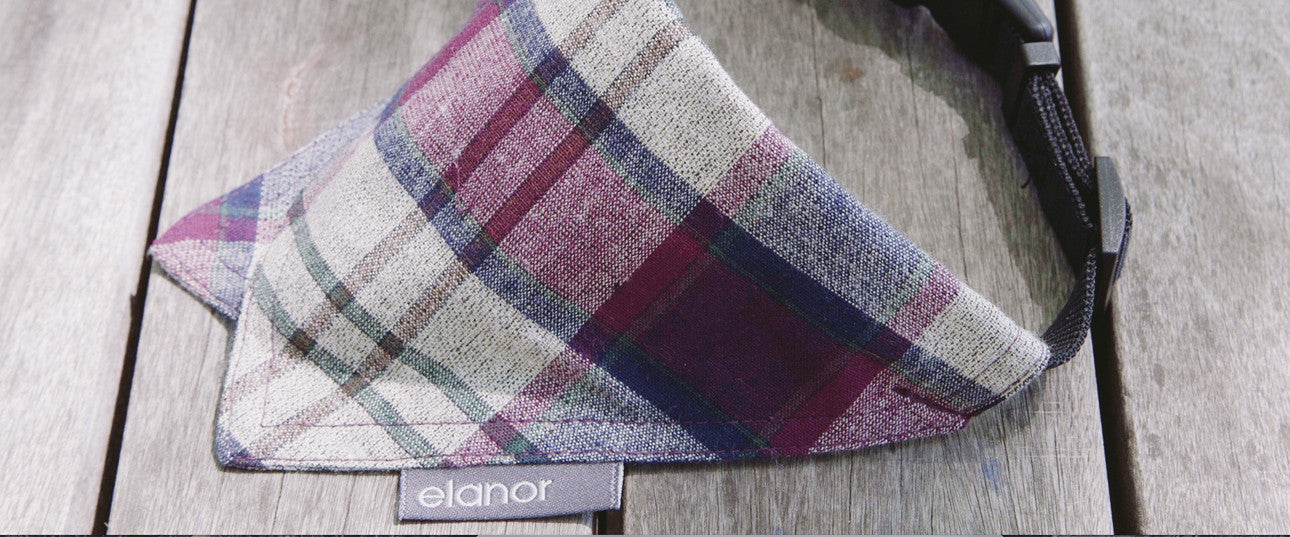 Pinky's Pick (Barker Issue 002): Elanor