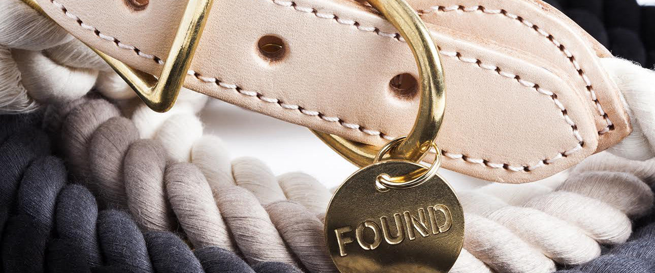 Pinky's Pick (Barker Issue 001): Found My Animal