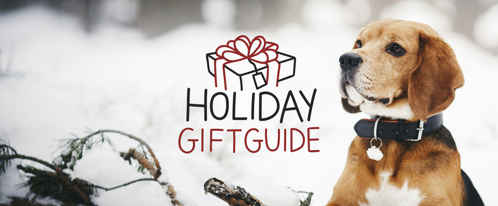Holiday Gift Guide 2016