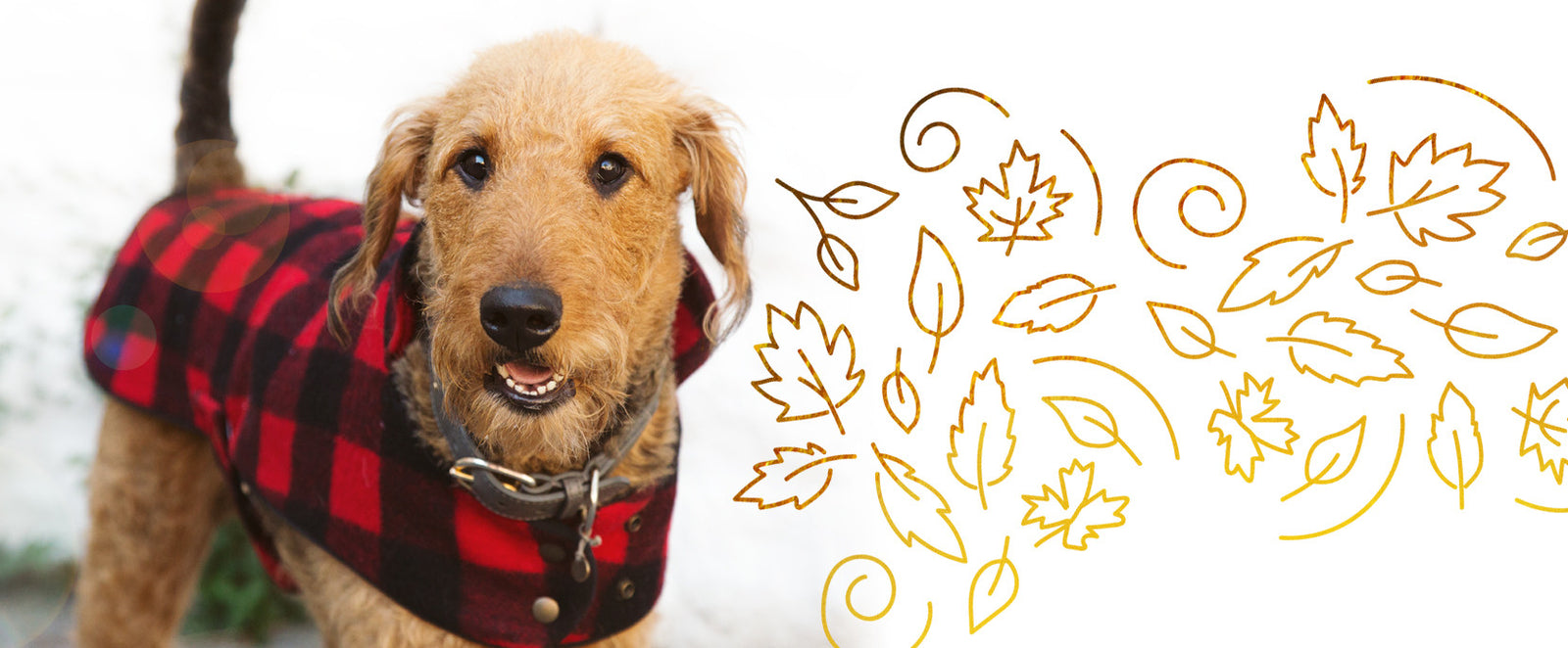 5 Jacket Styles Worth Falling For This Season