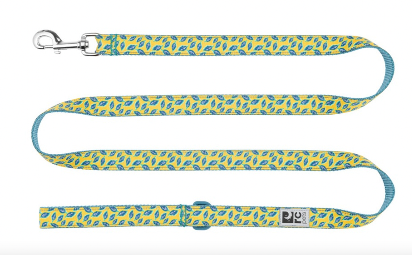 RC Pets Dog Leash -