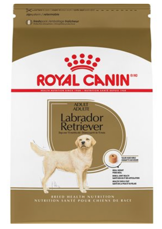 Labrador retriever hot sale food recommendations