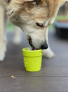 SodaPup Flower Pot Rubber Treat Dispensing Dog Toy - Green