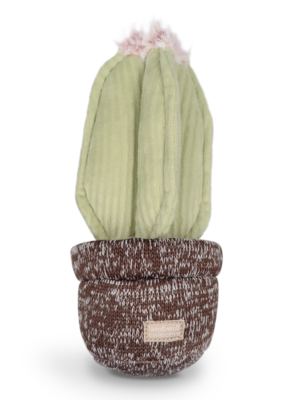 Dog hotsell cactus toy