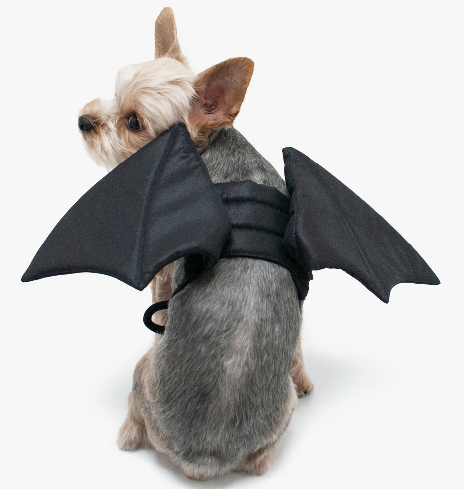 Dogo Pet Bat Wings Dog Halloween Costume Wooftown