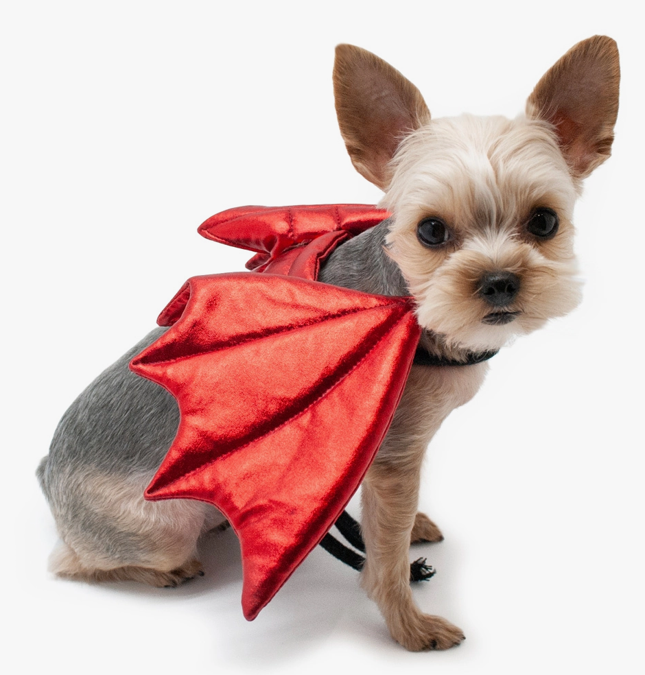 Dogo Pet Dragon Wings Dog Halloween Costume
