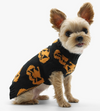 Dogo Pet Jack O&#39;Lantern Dog Sweater