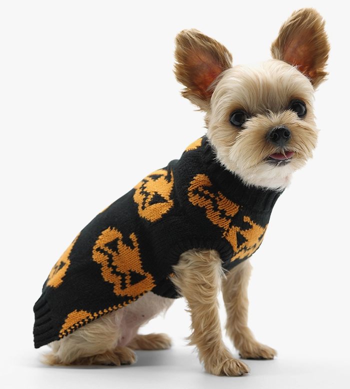 Dogo Pet Jack O'Lantern Dog Sweater