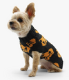 Dogo Pet Jack O&#39;Lantern Dog Sweater