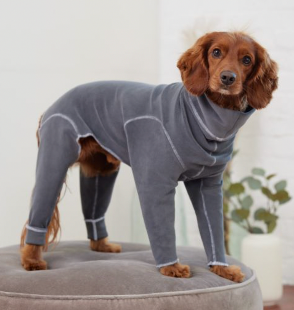 GF Pet Gondola Onesie - Charcoal