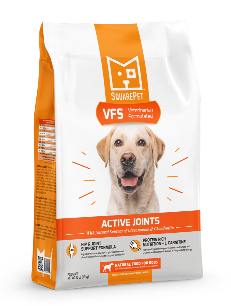 Dog food for muscle gain online