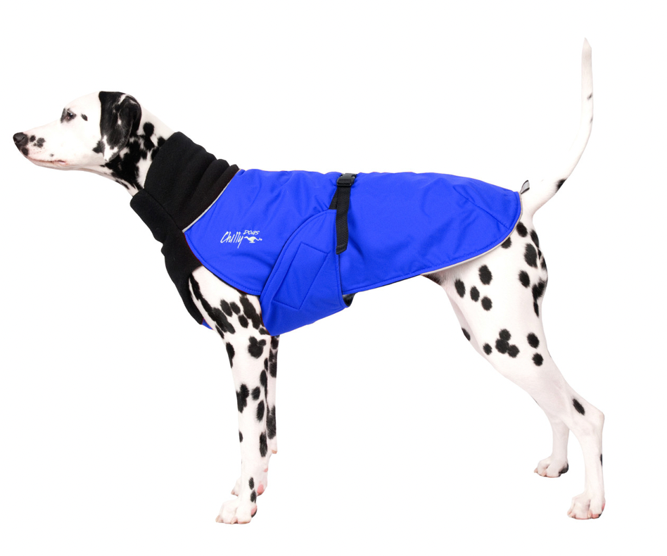 Great white north dog coat hotsell