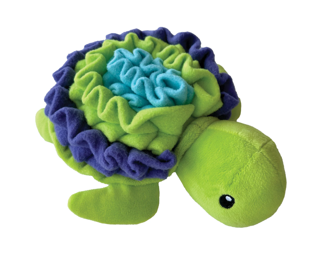 Dog turtle toy best sale