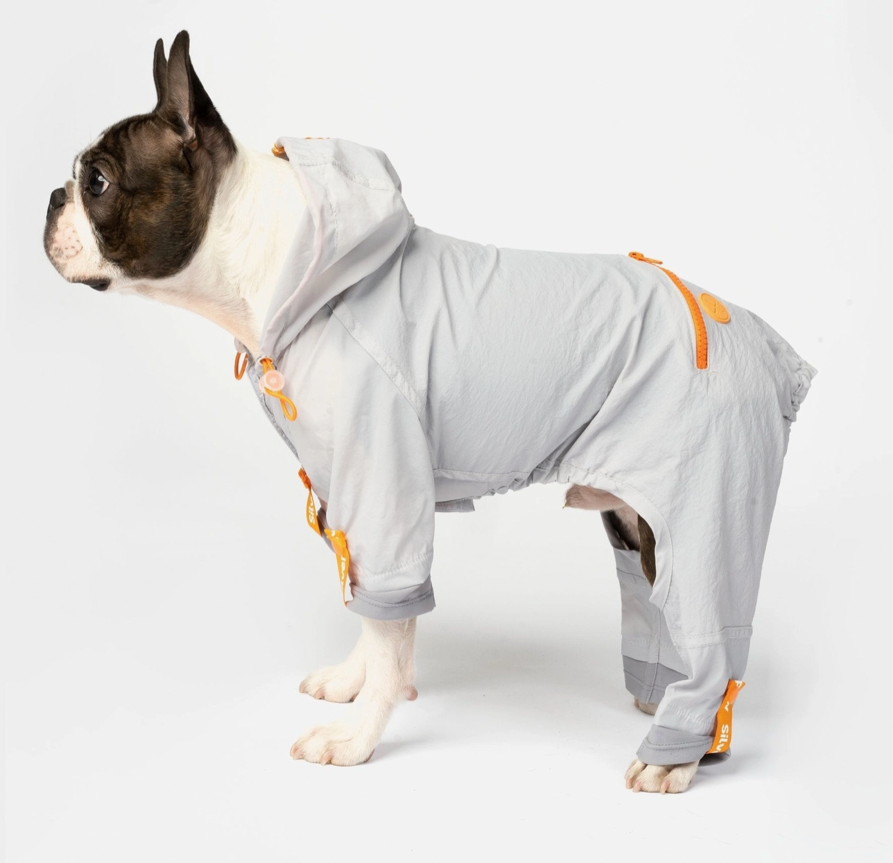 Silver Paw Sammy Splashsuit