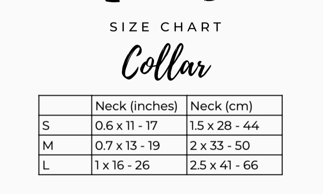 Cavology Dog Collar -