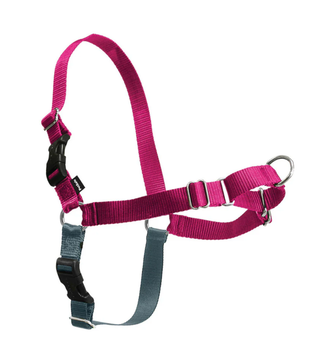 Easy Walk Harness S Red 15-20"