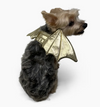 Dogo Pet Gold Dragon Wings Dog Halloween Costume