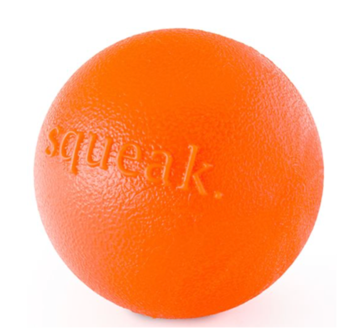 Planet Dog Orbee Tuff - Squeak Dog Toy