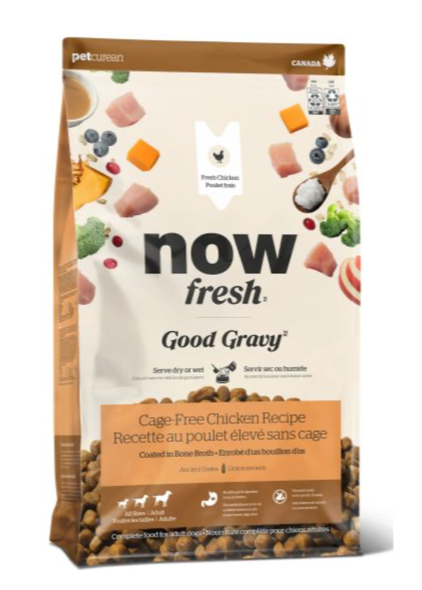 Now Fresh Good Gravy Chicken with Ancient Grains Dog Food