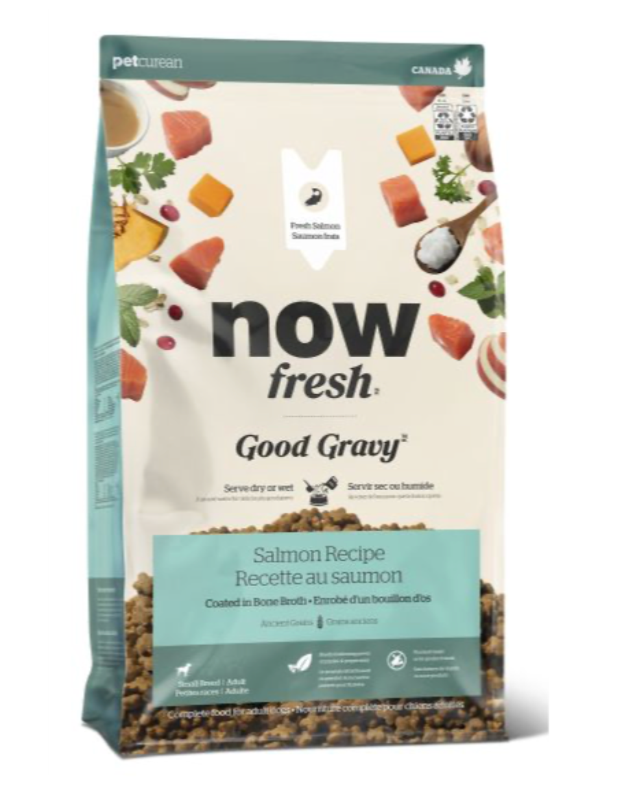 Now Fresh Good Gravy Salmon with Ancient Grains Small Breed Dog Food
