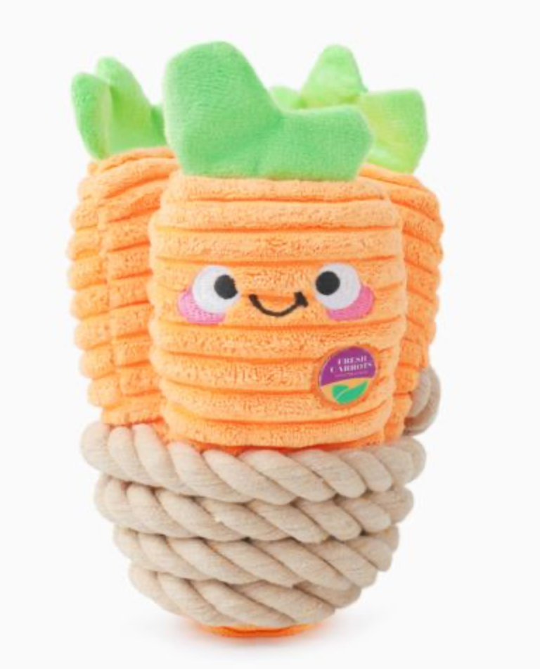 HugSmart Rope Funz Puppy Garden - Carrot Bunch Dog Toy