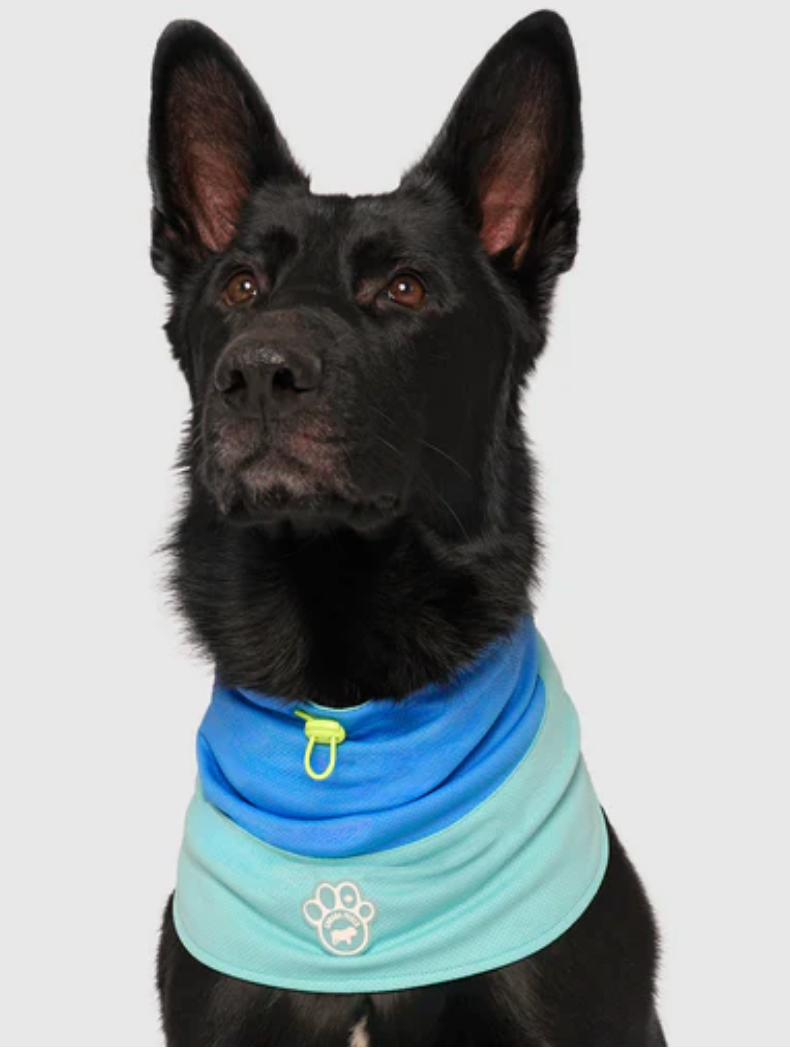 Canada Pooch Max Chill Cooling Snood