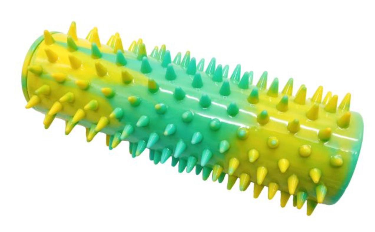 Bud'Z Rubber Spike Cylinder Dog Toy