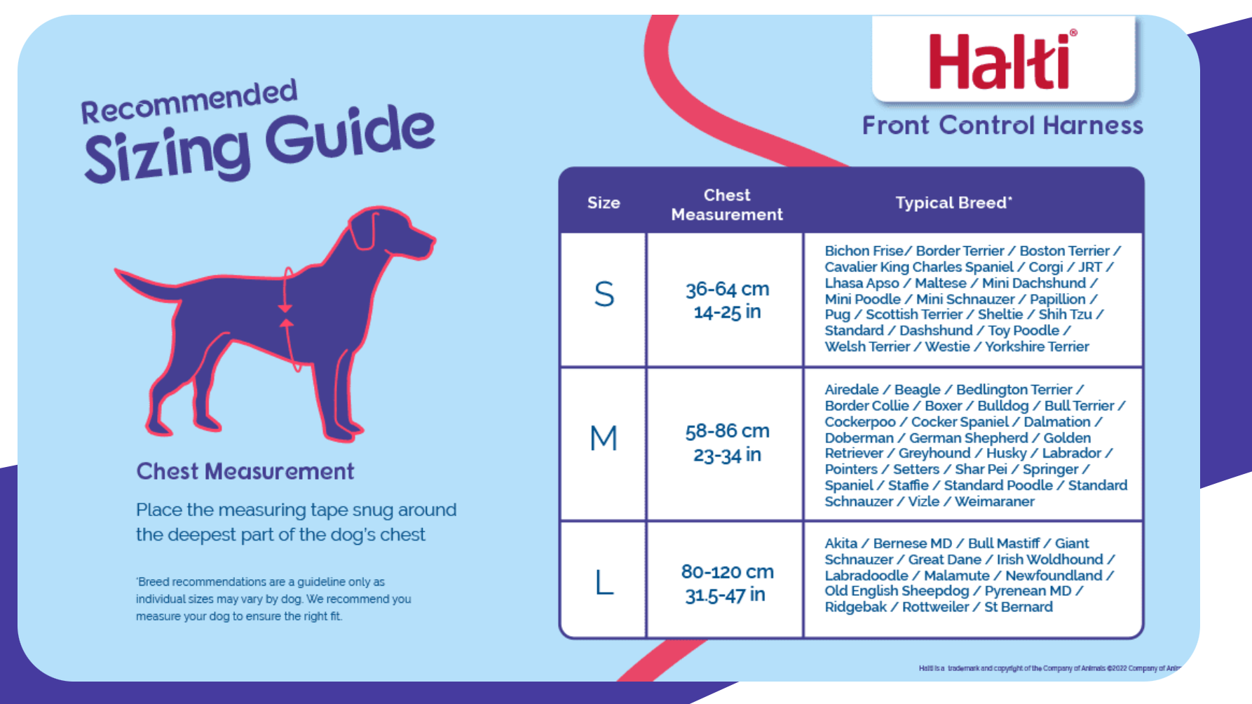 Halti Front Control Harness