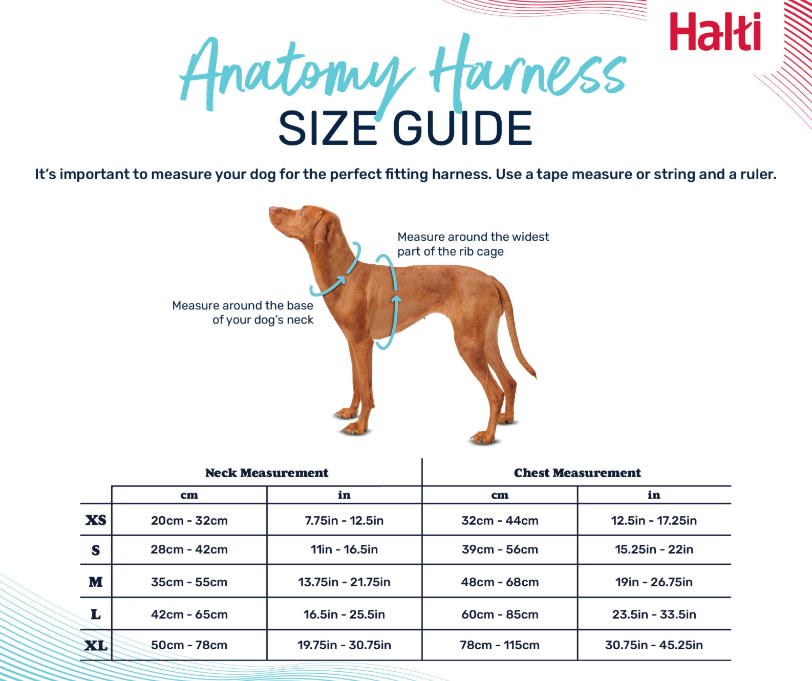 Halti Anatomy Harness