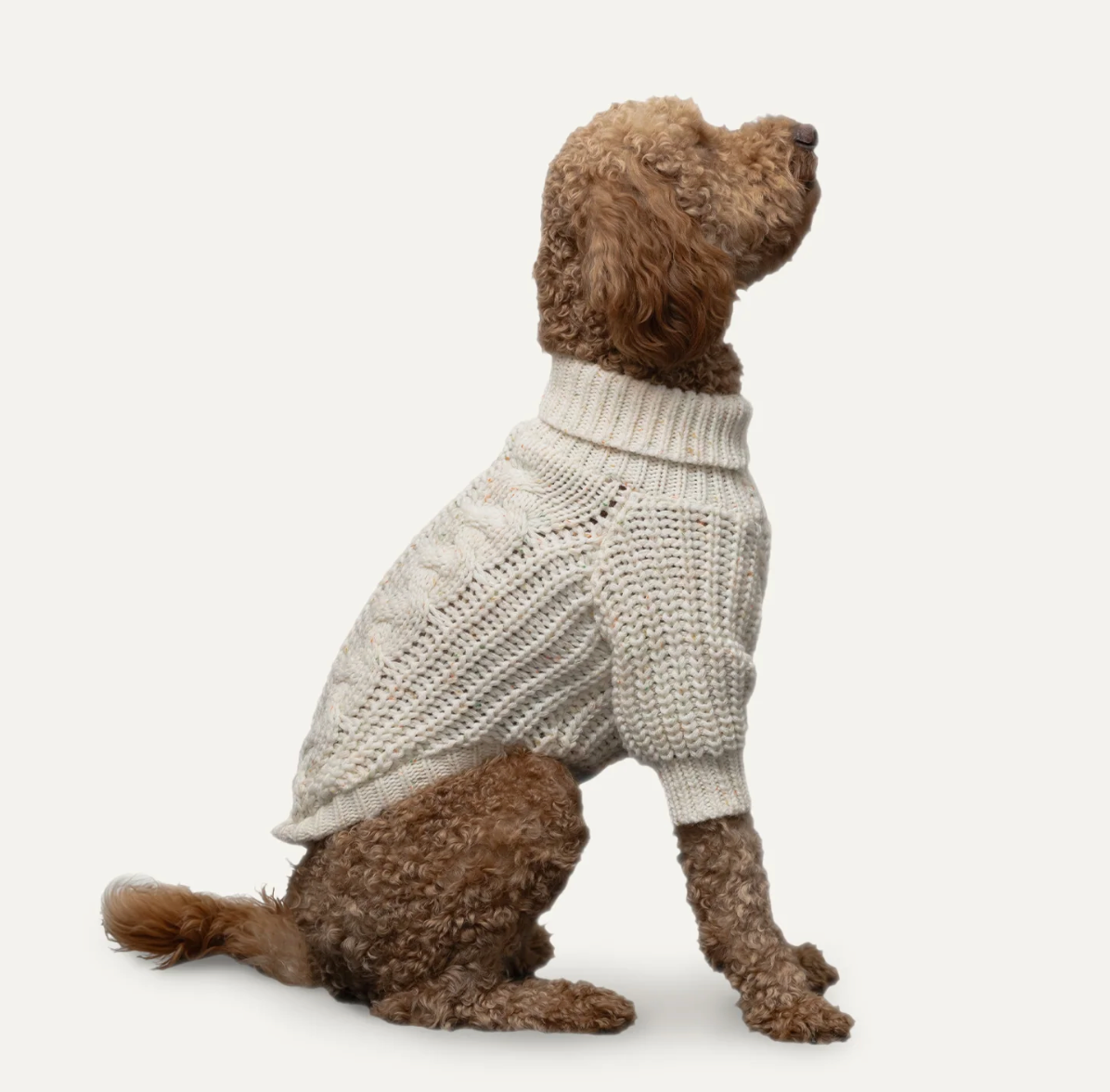 Goo-Eez Knit Sweater