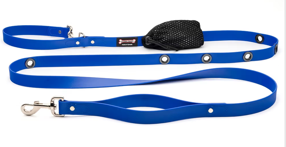 Smoochy Poochy Polyvinyl Handsfree Leash with Traffic Handle