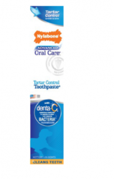 Nylabone Advanced Oral Care Tartar Control Toothpaste for Dogs