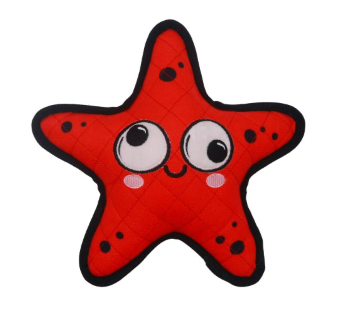 Bud'Z Dizzy Star Dog Toy