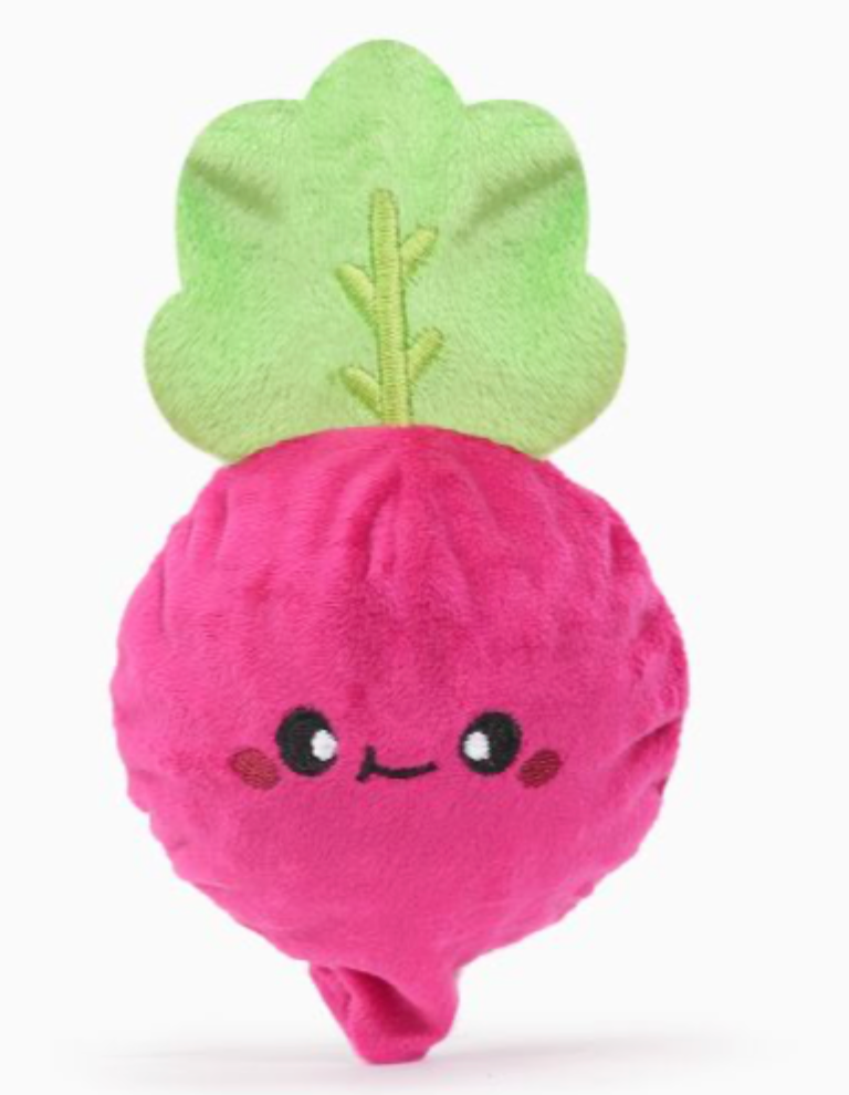 HugSmart Super Ball Puppy Garden - Radish Dog Toy