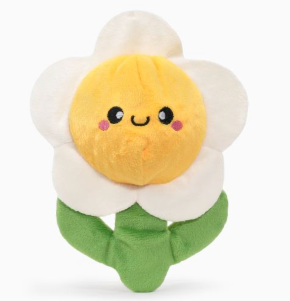 HugSmart Super Ball Puppy Garden - Daisy Dog Toy