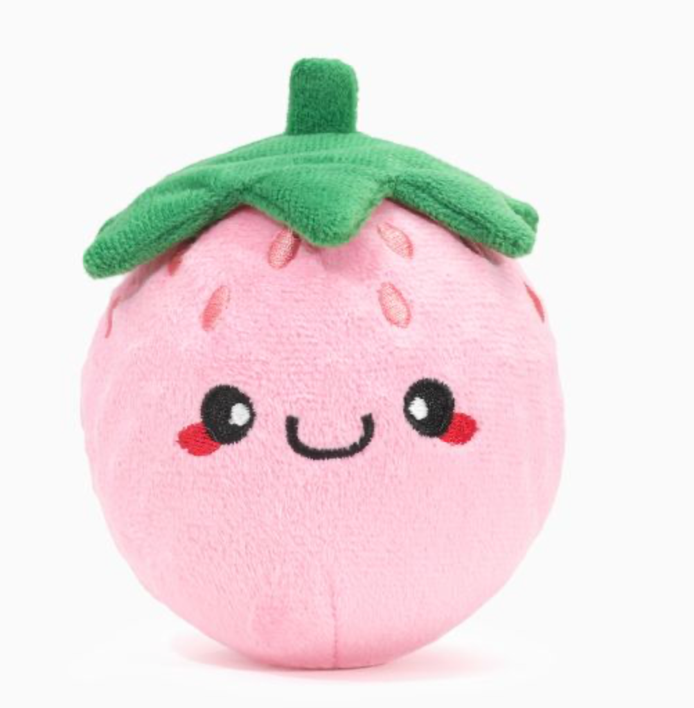 HugSmart Super Ball Picnic Time - Strawberry Dog Toy