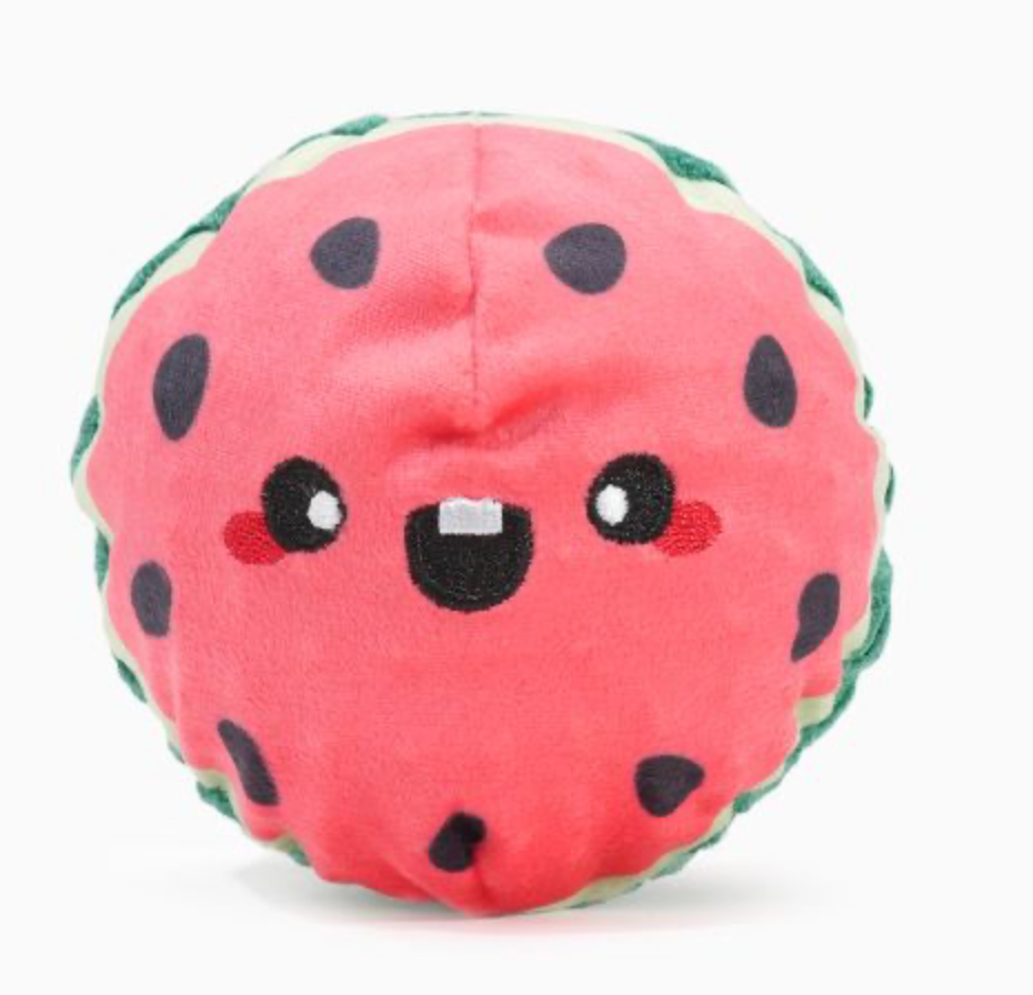 HugSmart Super Ball Picnic Time - Watermelon Dog Toy