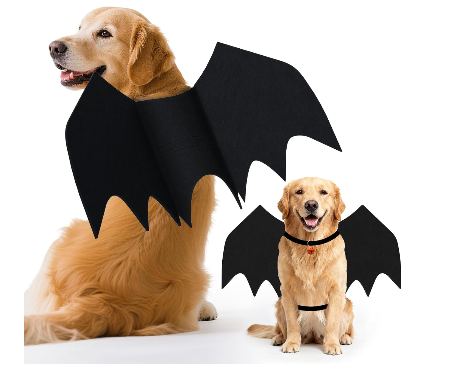 Olanrun Halloween Bat Wings Costume with Pumpkin Bell