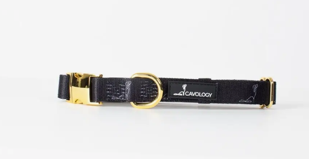 Cavology Dog Collar -