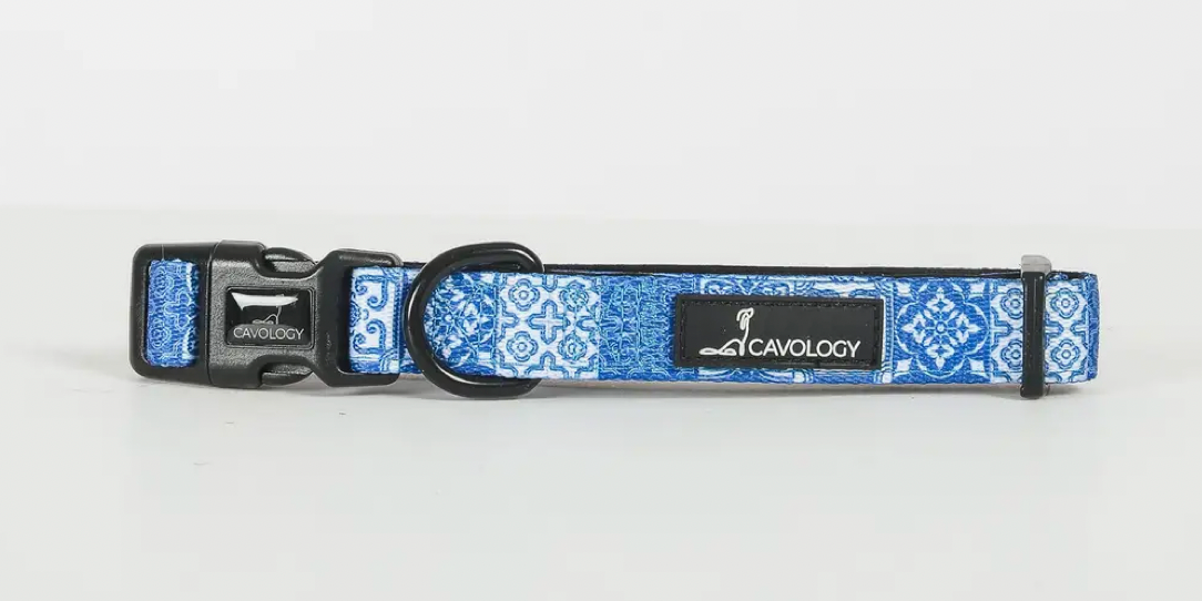 Cavology Dog Collar -