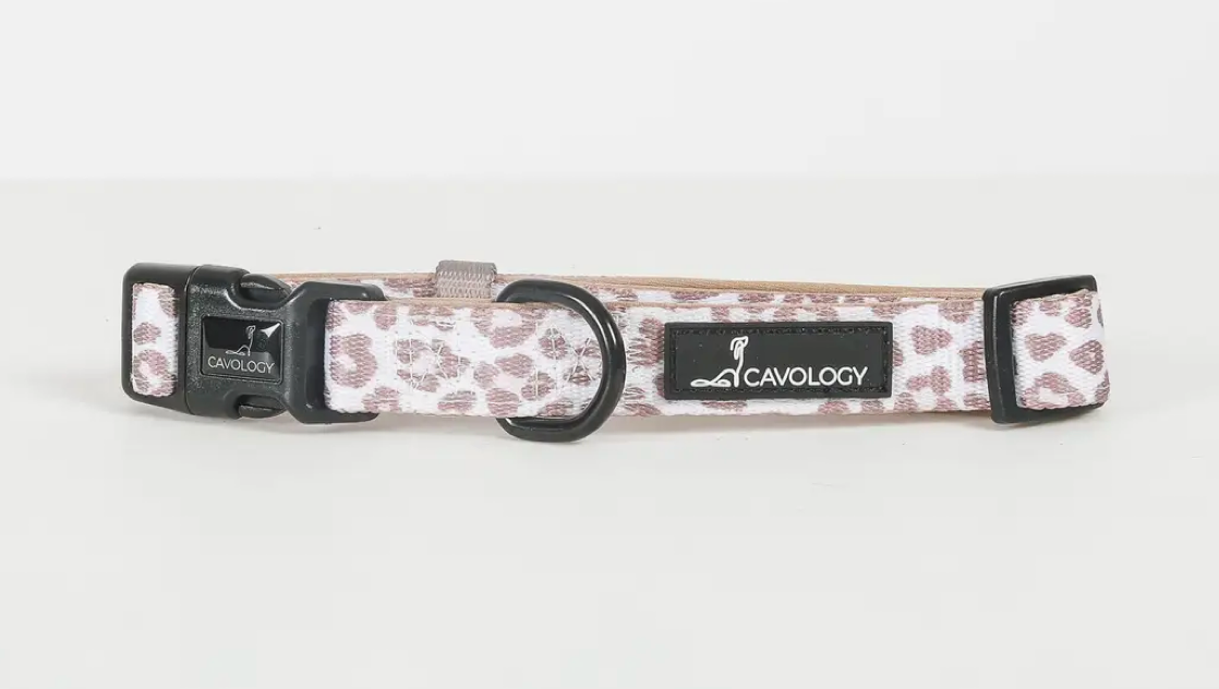 Cavology Dog Collar -