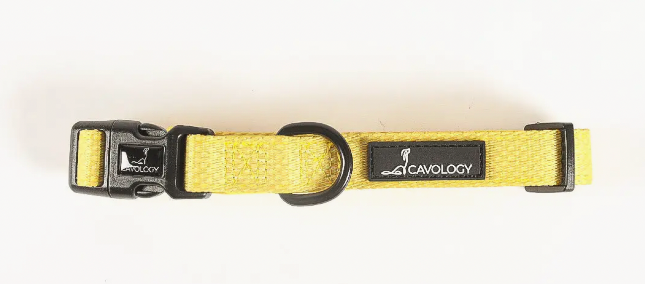 Cavology Dog Collar -