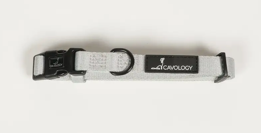 Cavology Dog Collar -