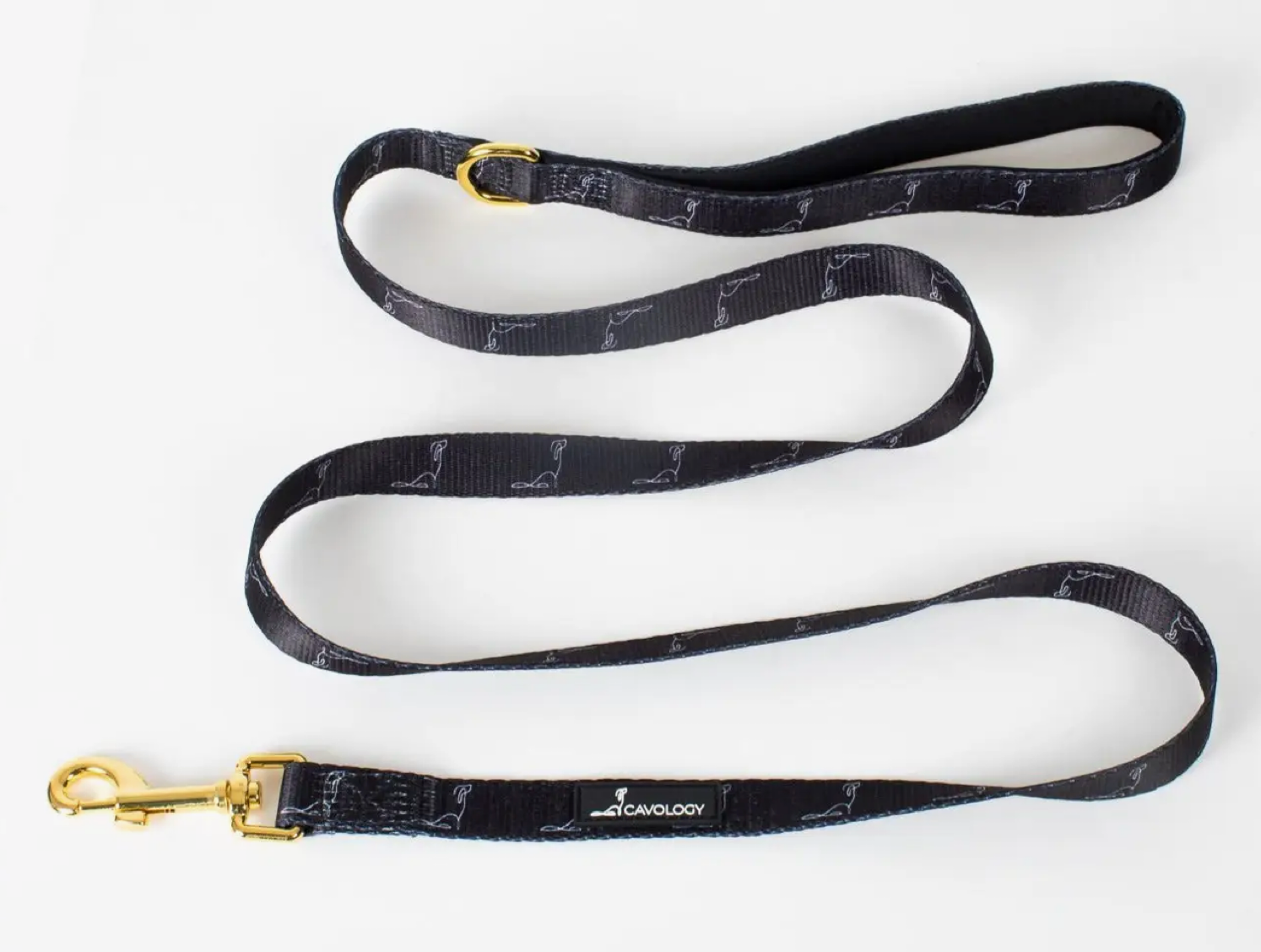 Cavology Dog Leash -
