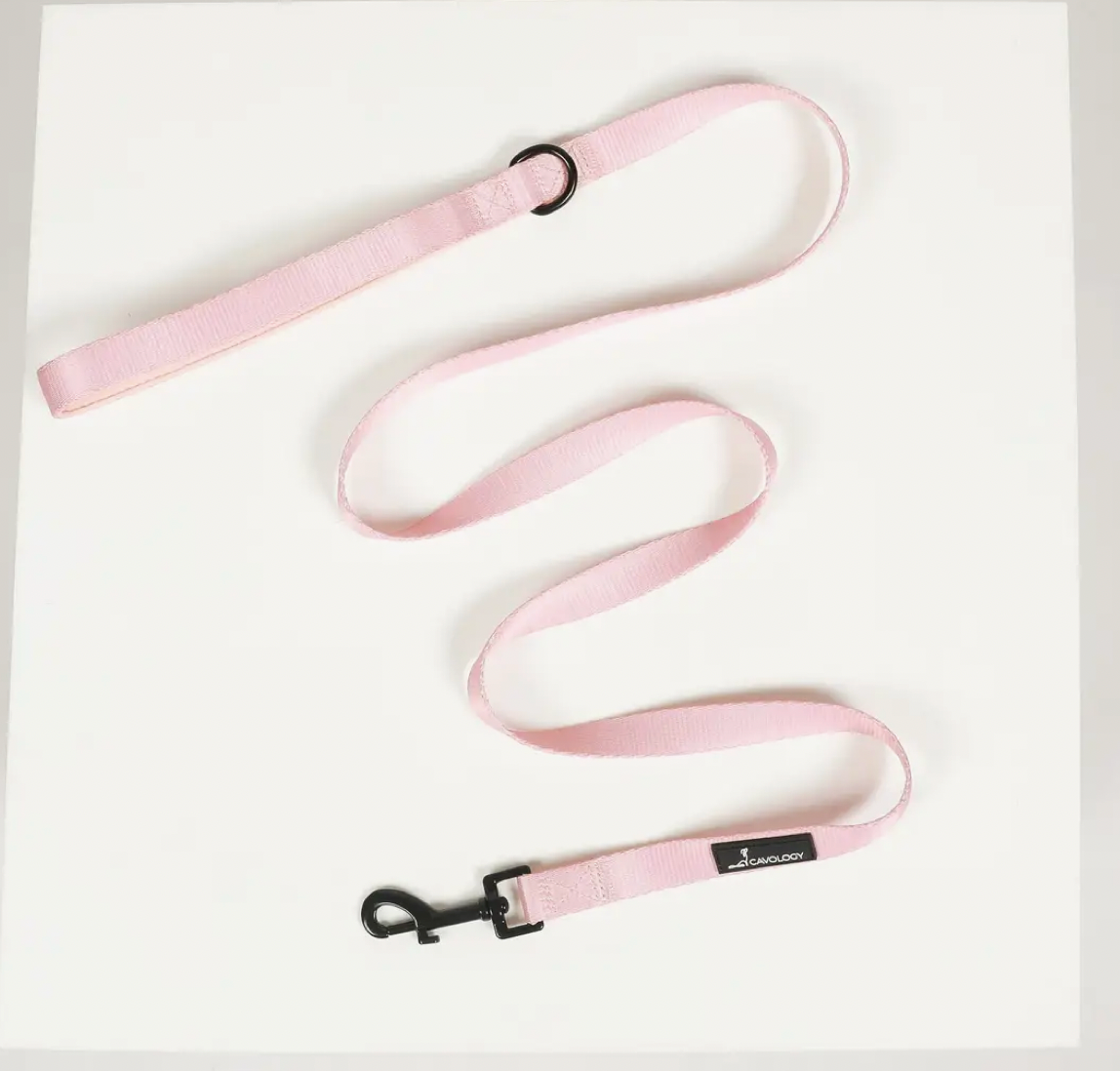 Cavology Dog Leash -
